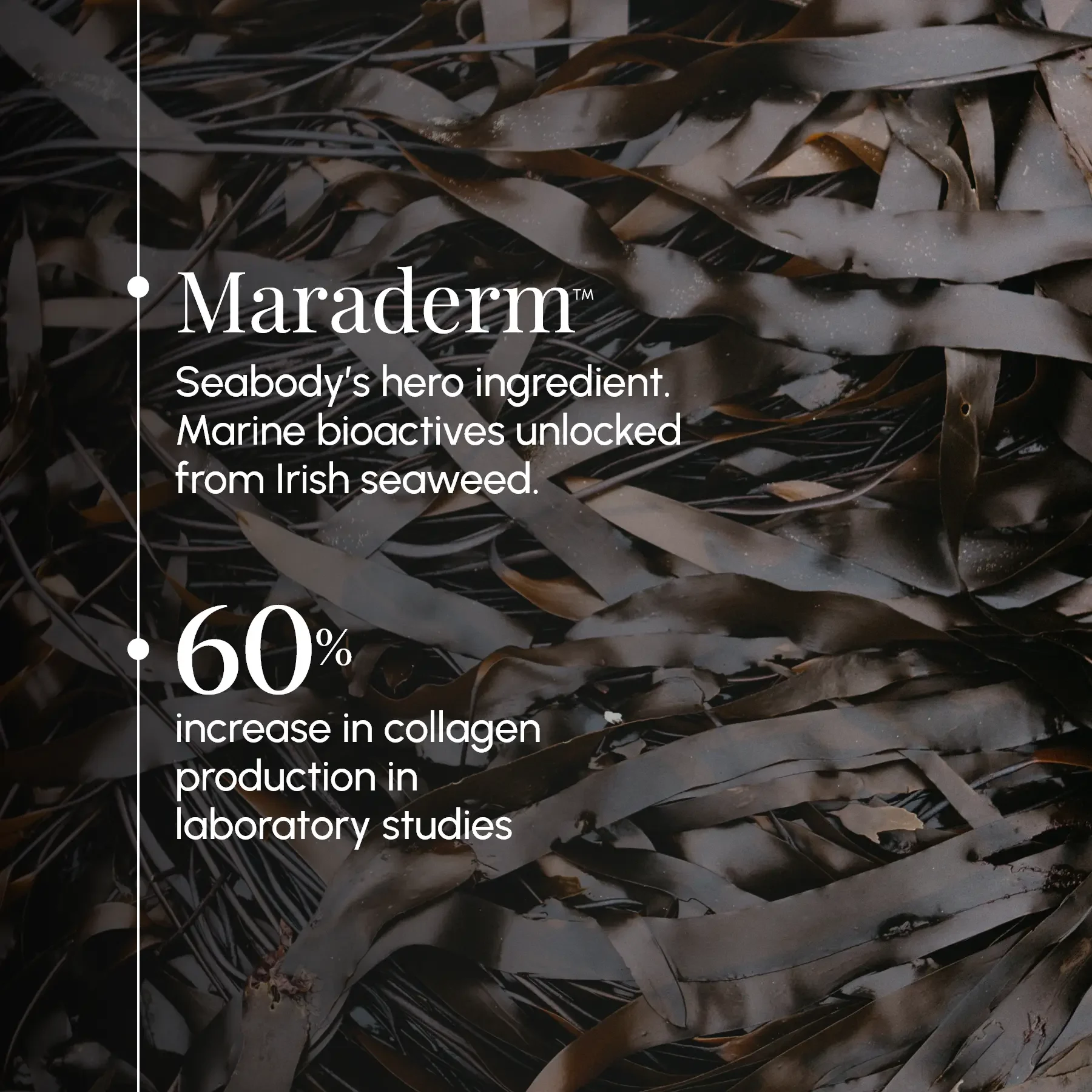 Seabody Hero Ingredient Maraderm Seabody Hero Ingredient Maraderm, marine bioactives from Irish Seaweed